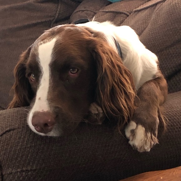 Meet your Posher, Sarah - Picture 1 of 1